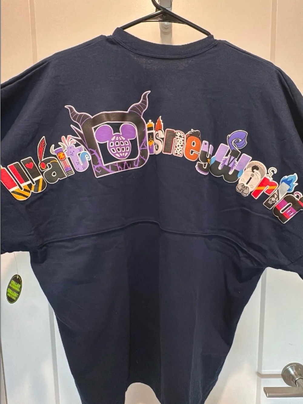 Disney World Villain Spirit Jersey